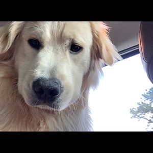 Meet your Posher, Eliza